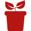 plant-with-two-leaves-on-a-pot-side-view